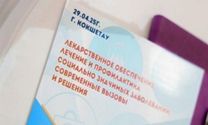 Конференция в Акмолинской области: фокус на социально-значимые заболевания и лекобеспечение
