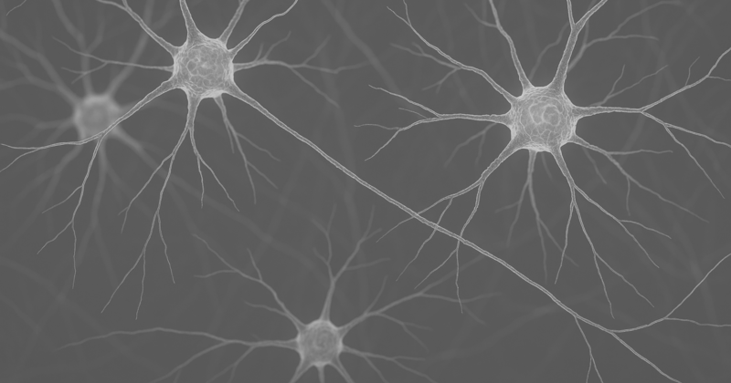 FDA одобрен аллотрансплантат для восстановления разрывов периферических нервных волокон